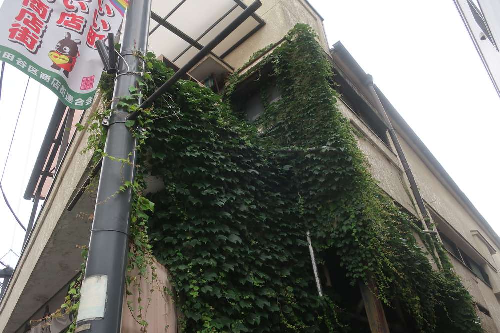 角の緑