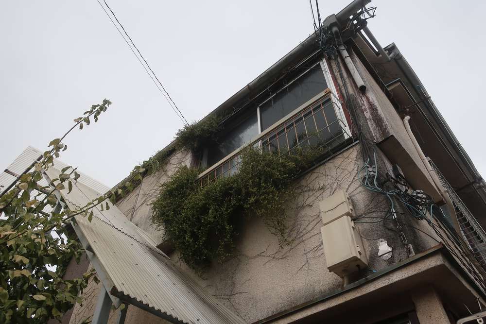 角の緑