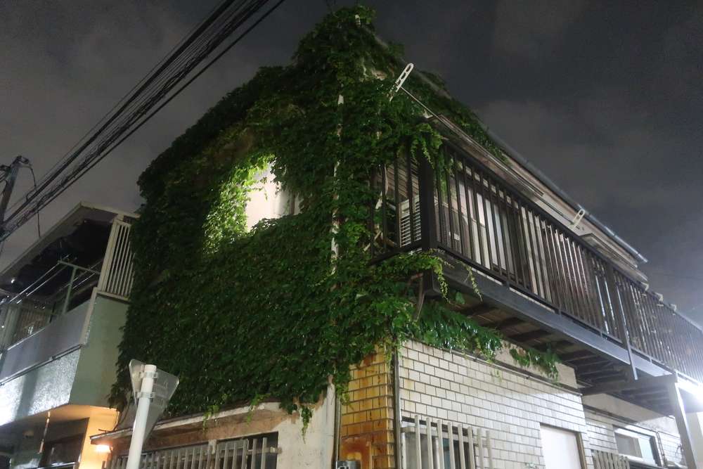 角の緑