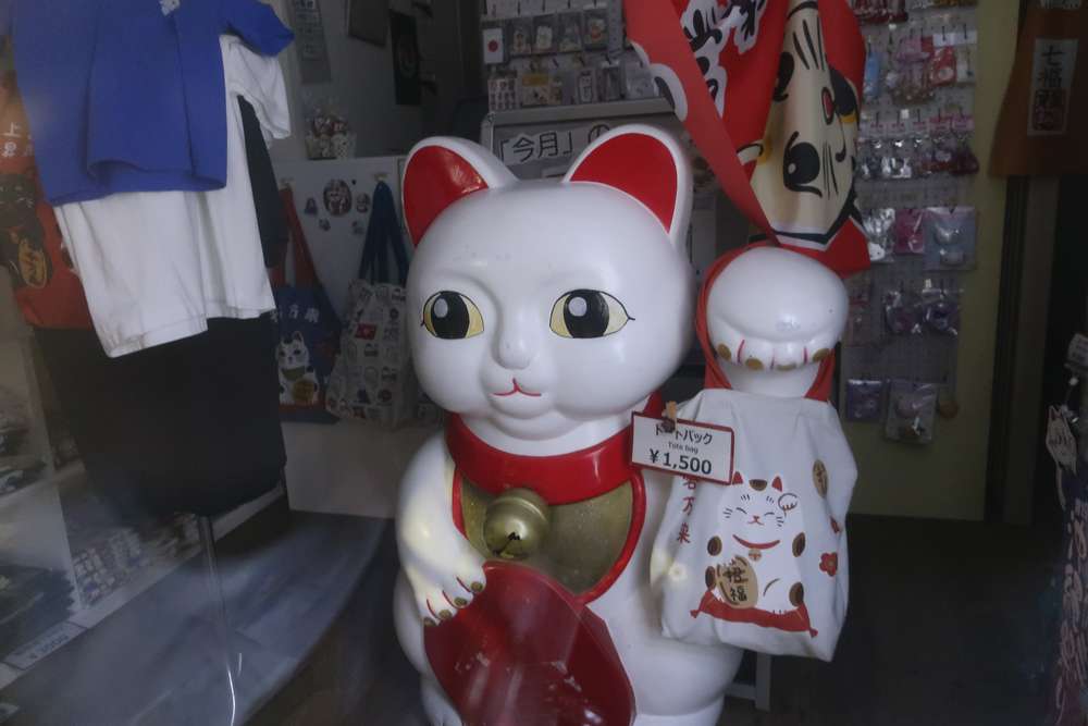 ねこ