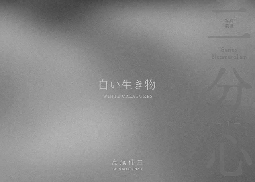 白い生き物 表紙