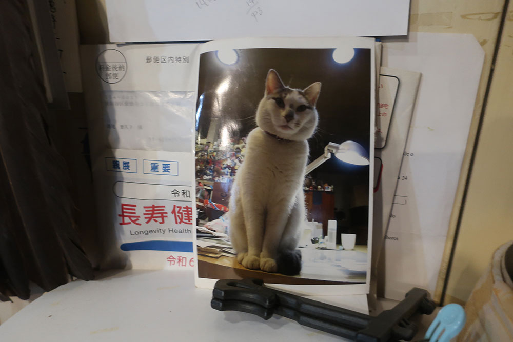白い生き物 8
